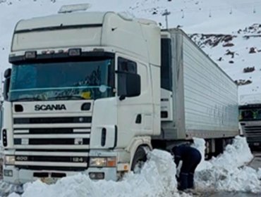 Gremios transportistas advierten alzas en carnes, cebolla y papas por camiones detenidos en paso Los Libertadores