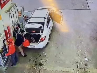 «Perro muerto» en servicentro Shell de Concón: cámaras de seguridad captan insólito robo de un bidón con 20 litros de combustible