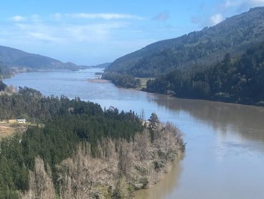 Declaran Alerta Roja para nueve comunas de la región de Ñuble por crecida del río Itata en Coelemu