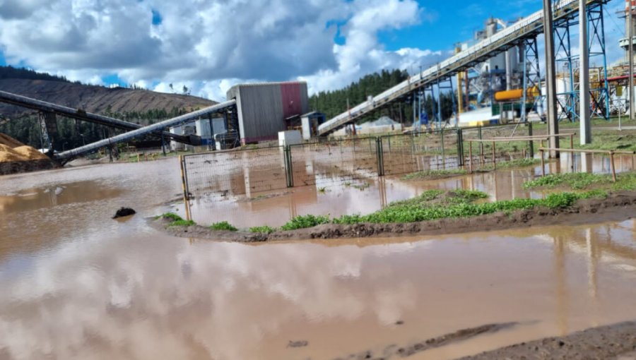 Arauco suspende indefinidamente la producción de celulosa de su planta Licancel en El Maule