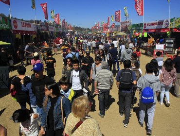 Anuncian gran despliegue preventivo y de seguridad de cara a las Fiestas Patrias en Viña