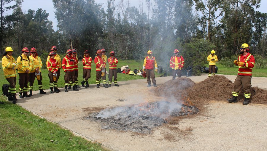 Conaf refuerza competencias técnicas de jefes de brigadas y cuadrillas para combatir incendios en la región de Valparaíso