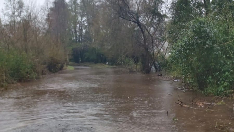 Declaran Alerta Roja para cuatro comunas de La Araucanía por desbordes por lluvias: 11 mil personas se encuentran aisladas