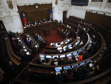Con abstenciones de Chile Vamos: Pleno del Consejo rechaza inciso del artículo 1 que establecía que "todo ser humano es persona"