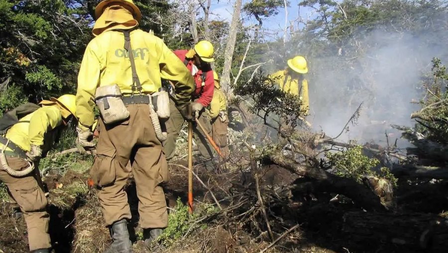 Conaf y Carabineros disponen acciones para prevenir incendios en la región de Valparaíso