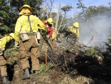 Conaf y Carabineros disponen acciones para prevenir incendios en la región de Valparaíso