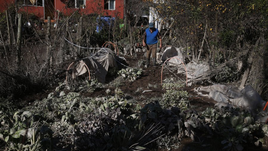 Ministerio de Agricultura declara Emergencia Agrícola en 16 comunas de la región de la Araucanía tras sistema frontal