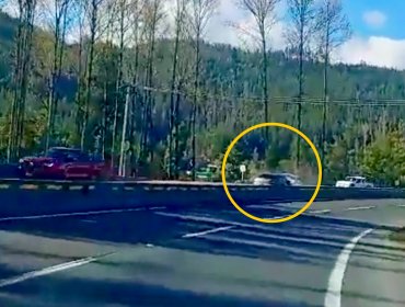 Conductor en estado de ebriedad protagonizó violento accidente tras manejar contra el tránsito en autopista de Lota