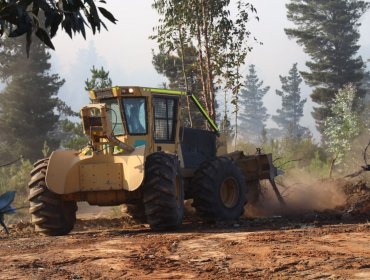 Intensifican plan para reducir el riesgo de incendios forestales en cerros de Valparaíso