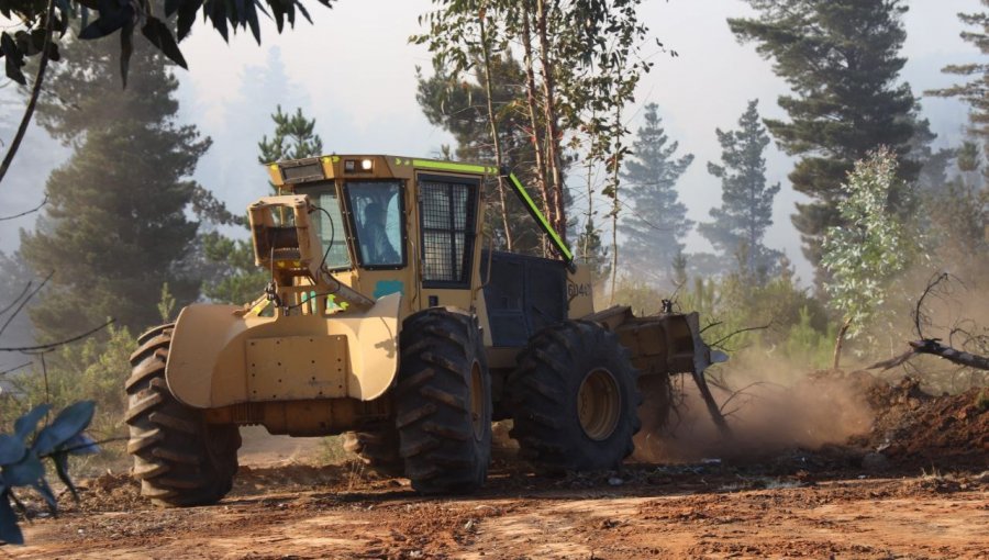 Intensifican plan para reducir el riesgo de incendios forestales en cerros de Valparaíso