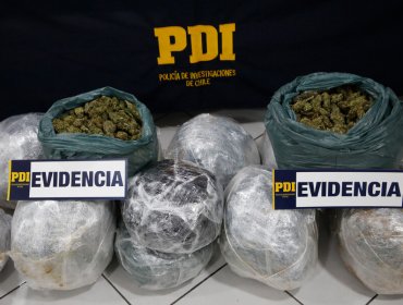PDI captura a especial banda narco que trasladaba droga sólo en Luna Nueva en Alto Hospicio
