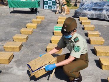 Carabineros incauta 200 mil dosis de droga oculta en falsa mudanza en Antofagasta