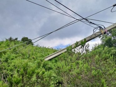 Robo de transformadores en ruta Las Palmas provocó la interrupciones del suministro eléctrico en casas de Viña del Mar