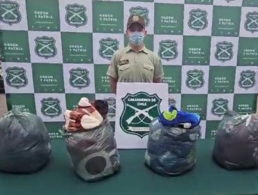 Policía sorprende a dos mujeres con frazadas impregnadas en Ketamina