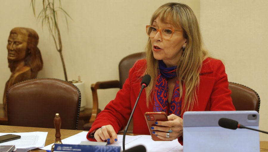 Diputada Gazmuri negó mal uso de recursos de Fundación Daya y acusó "falta de acción" de algunos municipios