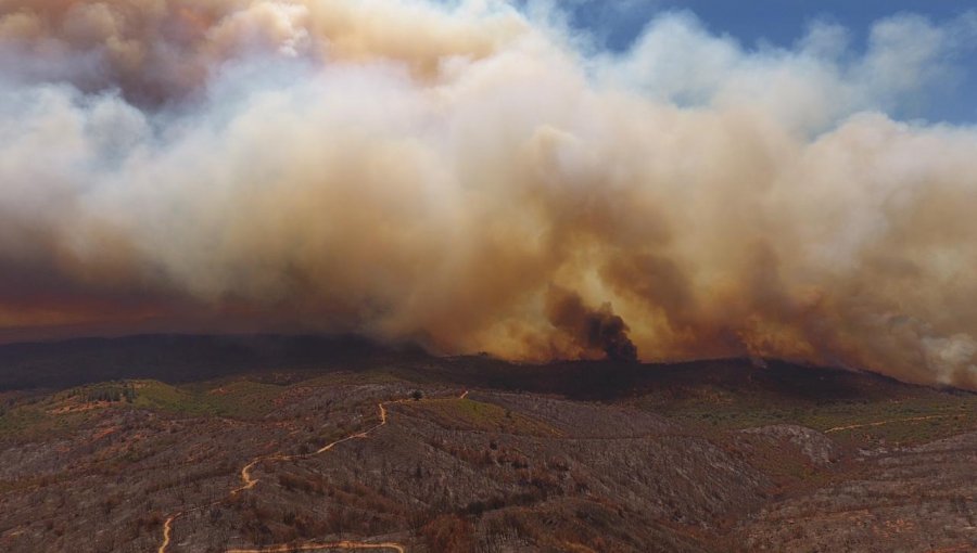 Conaf y Bidema de la PDI coordinan acciones para reforzar la investigación de incendios forestales en la región de Valparaíso