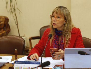 Diputada Gazmuri negó mal uso de recursos de Fundación Daya y acusó "falta de acción" de algunos municipios