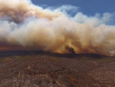 Conaf y Bidema de la PDI coordinan acciones para reforzar la investigación de incendios forestales en la región de Valparaíso