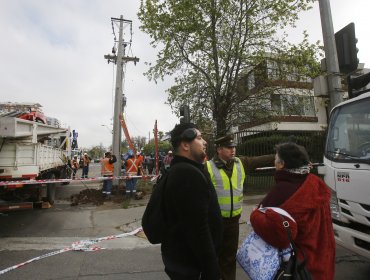 Municipalidad trabaja para reponer postes derribados por conductor drogado: será formalizado este viernes