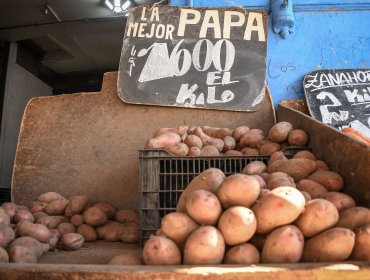 IPC de septiembre aumentó 0,7% y acumuló 5,1% en 12 meses: las papas subieron un 37,7%