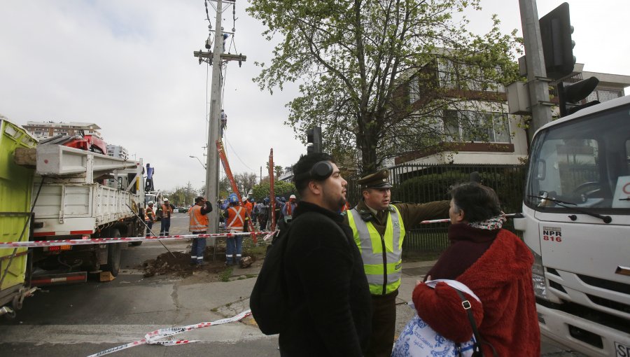 Municipalidad trabaja para reponer postes derribados por conductor drogado: será formalizado este viernes