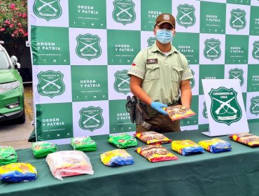 Detienen a mujer que fue sorprendida con droga oculta en paquetes de complementos alimenticios en Colchane