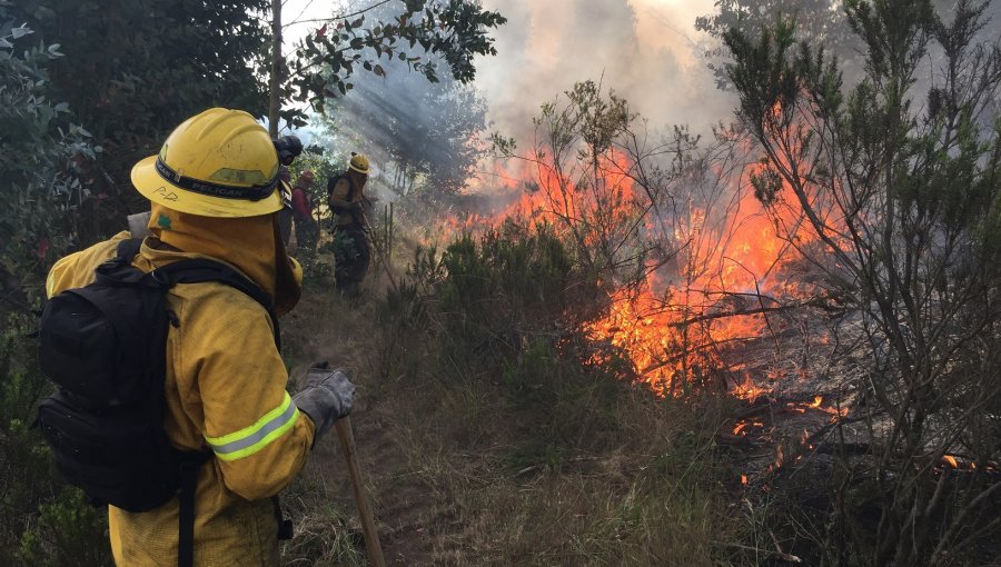 Conaf, Ejército y Armada afinan coordinación ante incendios de vegetación en la región de Valparaíso