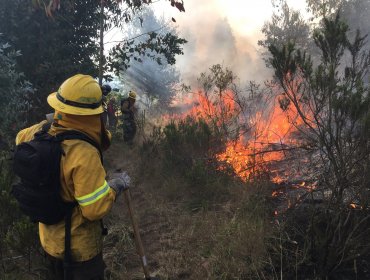 Conaf, Ejército y Armada afinan coordinación ante incendios de vegetación en la región de Valparaíso