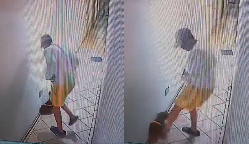 Caso de maltrato animal en Viña del Mar: Captan a hombre pateando a su perro en pasillo de un edificio