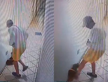 Caso de maltrato animal en Viña del Mar: Captan a hombre pateando a su perro en pasillo de un edificio