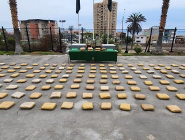 Incautan más de 400 mil dosis de marihuana en control carretero en la región de Antofagasta