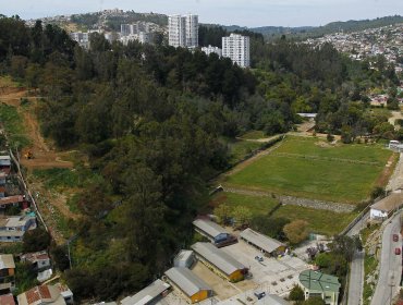 «Ley Pümpin»: Cámara aprueba proyecto que busca facilitar compra de terrenos para crear Parque Natural Urbano en Valparaíso