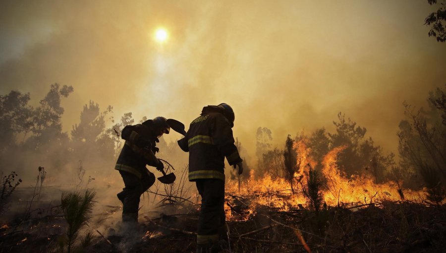 Incendio de matorrales y pastizales movilizó a Bomberos hasta la parte alta de Valparaíso