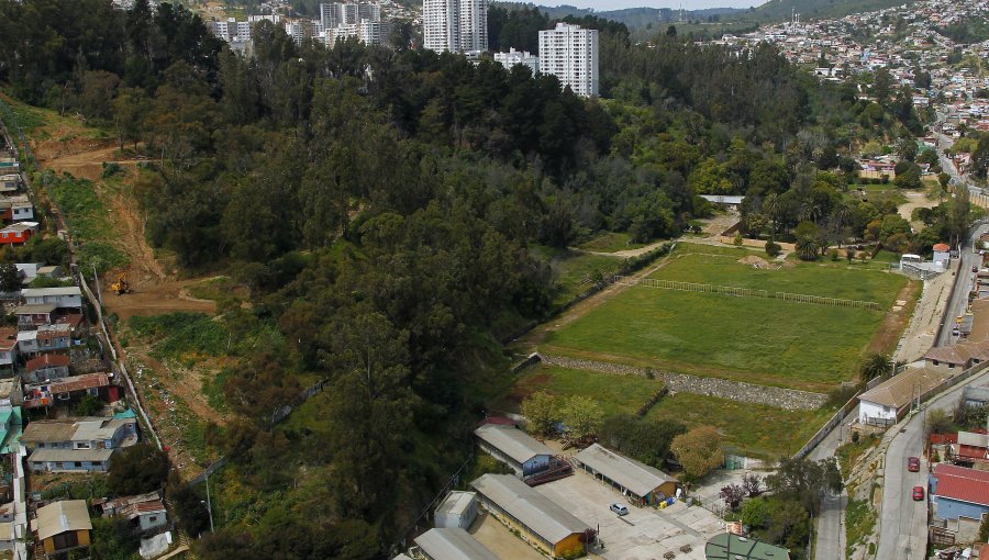 «Ley Pümpin»: Cámara aprueba proyecto que busca facilitar compra de terrenos para crear Parque Natural Urbano en Valparaíso