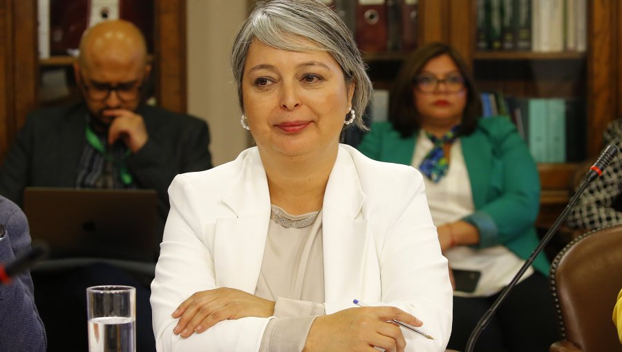 Ministra del Trabajo afirma que el plebiscito no condiciona el envío de indicaciones a la reforma de pensiones