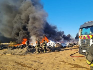 Municipio presenta querella criminal por incendio en el fundo El Manzano de Valparaíso