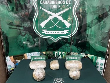 Detectan 11 kilos de marihuana al interior de un bus interurbano en la región de Valparaíso