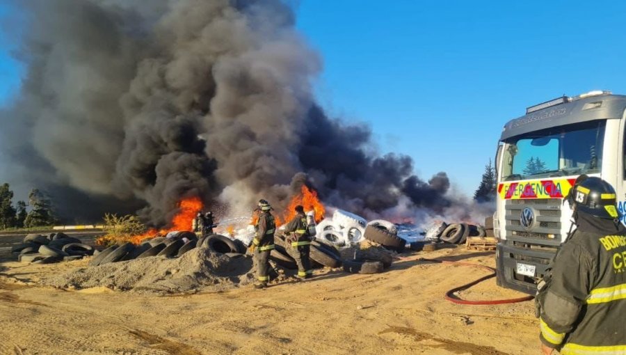 Municipio presenta querella criminal por incendio en el fundo El Manzano de Valparaíso