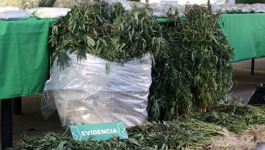 En libertad quedaron los siete ex carabineros imputados por falsear partes y esconder marihuana en Ovalle