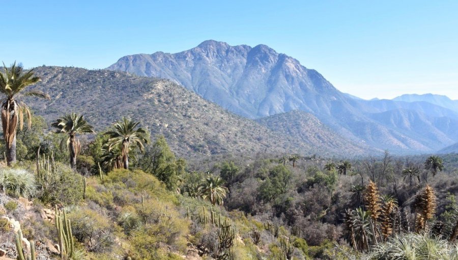 Encuentran sin vida a hombre que permanecía desaparecido desde hace una semana en el Parque Nacional La Campana de Olmué