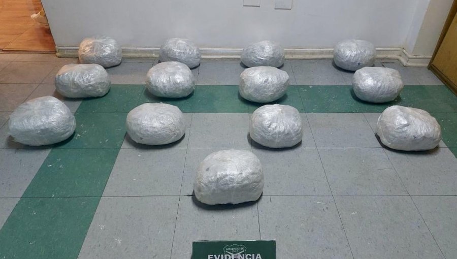 Control policial permitió decomisar más de 13 kilos de marihuana en ruta de Papudo: procedimiento terminó con dos detenidos