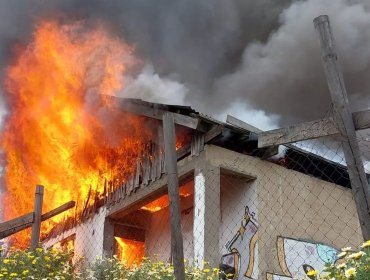 Vivienda resultó afectada por incendio en el sector Forestal Alto de Viña del Mar