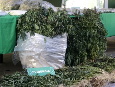 En libertad quedaron los siete ex carabineros imputados por falsear partes y esconder marihuana en Ovalle