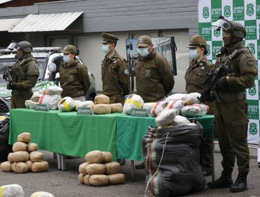 Incautan 360 kilos de marihuana y capturan a banda internacional en Antofagasta