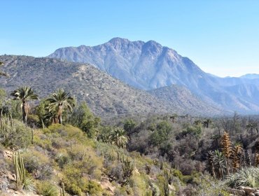 Encuentran sin vida a hombre que permanecía desaparecido desde hace una semana en el Parque Nacional La Campana de Olmué