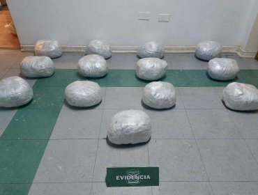 Control policial permitió decomisar más de 13 kilos de marihuana en ruta de Papudo: procedimiento terminó con dos detenidos