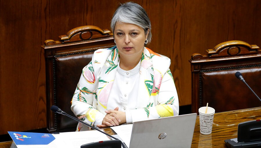 Ministra Jara aclara polémica por reforma de pensiones: “No es un congelamiento”