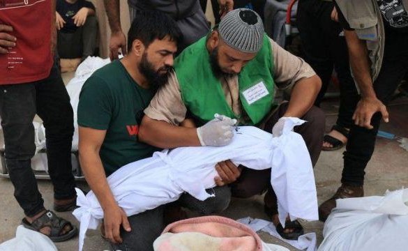 "La situación es catastrófica, insoportable": El horror que se vive dentro de los hospitales en Gaza