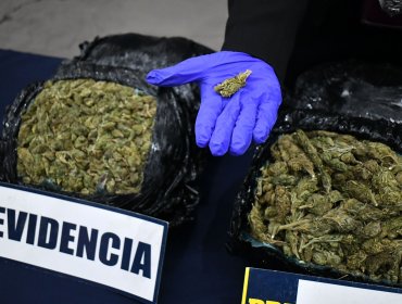 PDI decomisa $731 millones en contrabando de cigarrillos, ketamina, marihuana y cocaína.