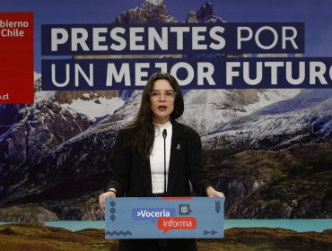 Vocera reconoce que “difícilmente habría condiciones en este gobierno” para un tercer proceso constitucional